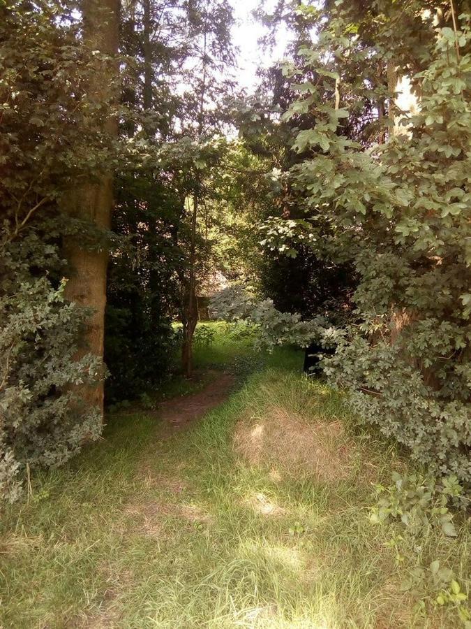 De Hoeve Mare Terre Giethoorn, Voor 1 Tot 6 Personen Dış mekan fotoğraf