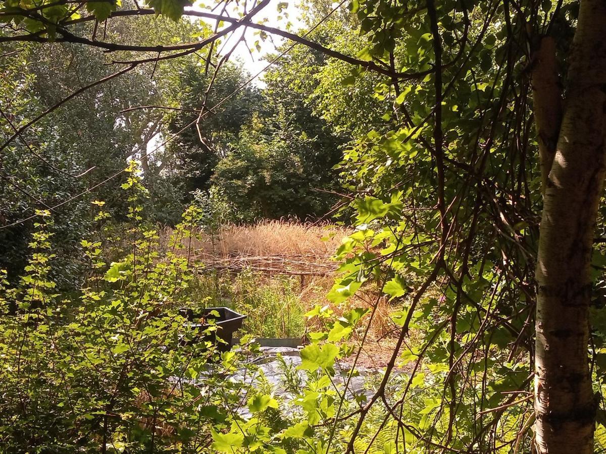 De Hoeve Mare Terre Giethoorn, Voor 1 Tot 6 Personen Dış mekan fotoğraf