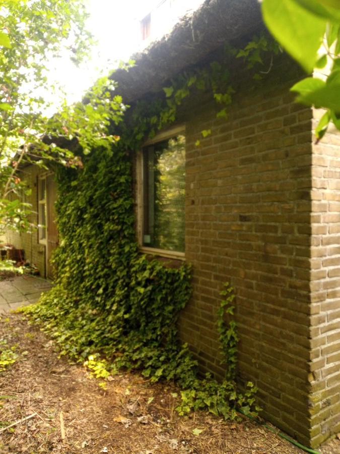 De Hoeve Mare Terre Giethoorn, Voor 1 Tot 6 Personen Dış mekan fotoğraf